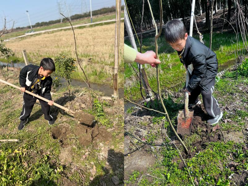 IMG_1678.JPG IMG_1678.JPG